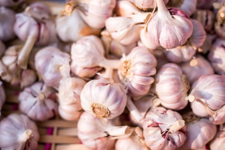 Aglio: ecco tutti i rimedi naturali e cosa si può curare